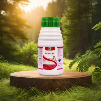 ROYAL FS Thiamethoxam 30% FS - Effective Systemic Insecticide for Crop Protection