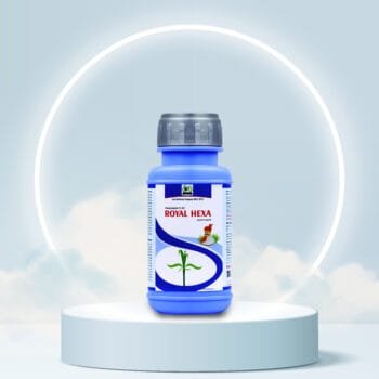 ROYAL Hexa - Hexaconazole 5% SC | Powerful Systemic Fungicide for Crop Protection