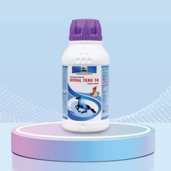 ROYAL Tebu 38 – Powerful Tebuconazole 38.39% SC Fungicide for Cabbage & Wheat Disease Control