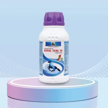 ROYAL Tebu 38 – Powerful Tebuconazole 38.39% SC Fungicide for Cabbage & Wheat Disease Control